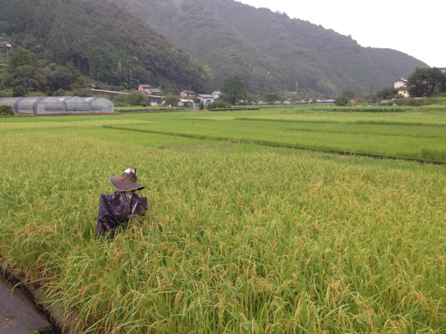 f:id:yujirosatake2014:20140924231153j:plain f:id:yujirosatake2014:20140924231153j:plain