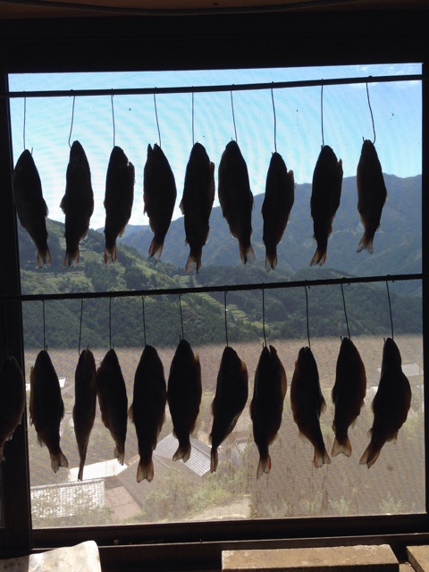 f:id:yujirosatake2014:20140927092652j:plain f:id:yujirosatake2014:20140927092652j:plain