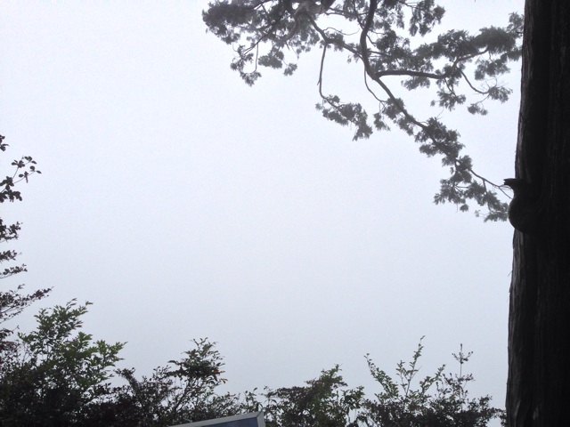 f:id:yujirosatake2014:20140927103717j:plain f:id:yujirosatake2014:20140927103717j:plain