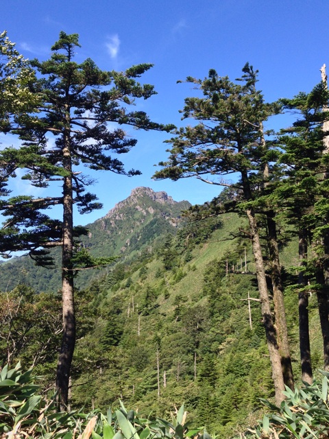 f:id:yujirosatake2014:20140927130103j:plain f:id:yujirosatake2014:20140927130103j:plain