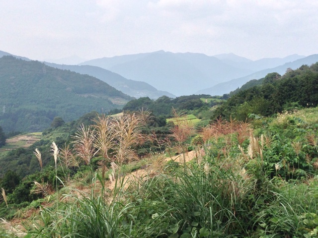 f:id:yujirosatake2014:20141005141616j:plain f:id:yujirosatake2014:20141005141616j:plain
