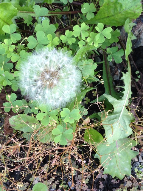 f:id:yujirosatake2014:20141008232304j:plain f:id:yujirosatake2014:20141008232304j:plain