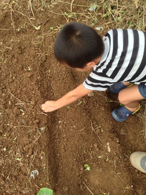 f:id:yujirosatake2014:20141012035117j:plain f:id:yujirosatake2014:20141012035117j:plain