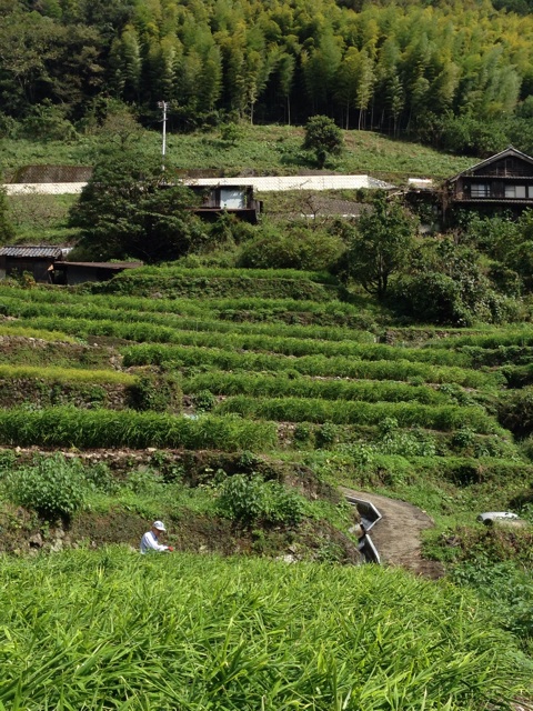 f:id:yujirosatake2014:20141014231553j:plain f:id:yujirosatake2014:20141014231553j:plain