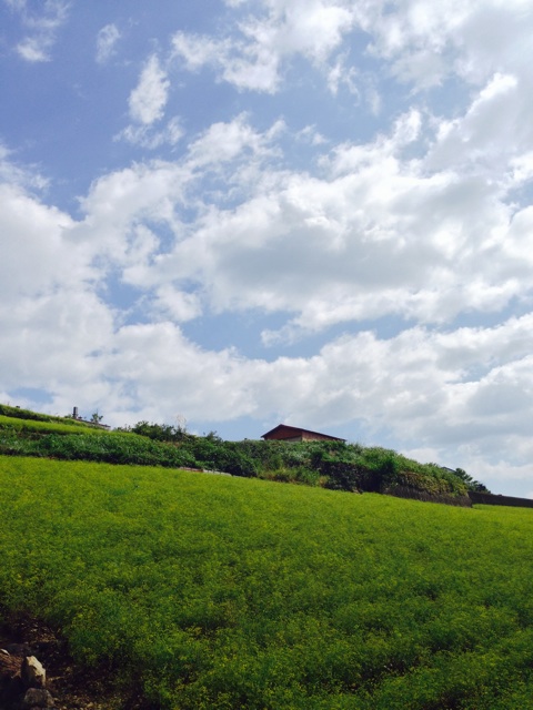f:id:yujirosatake2014:20141014232405j:plain f:id:yujirosatake2014:20141014232405j:plain