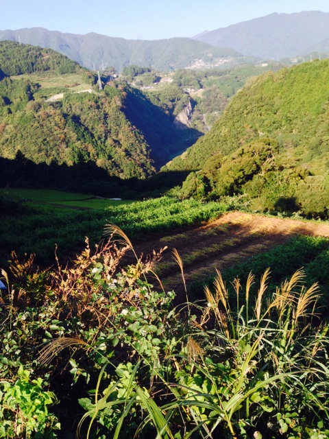 f:id:yujirosatake2014:20141017080443j:plain f:id:yujirosatake2014:20141017080443j:plain