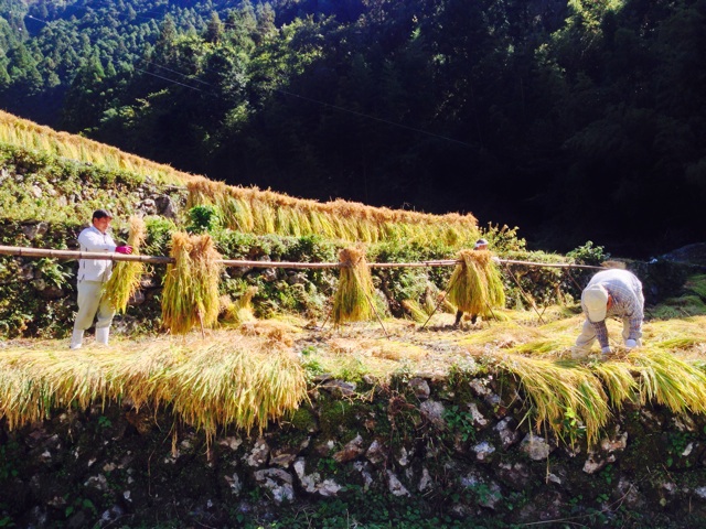 f:id:yujirosatake2014:20141018231540j:plain f:id:yujirosatake2014:20141018231540j:plain