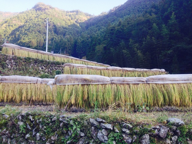f:id:yujirosatake2014:20141020004706j:plain f:id:yujirosatake2014:20141020004706j:plain