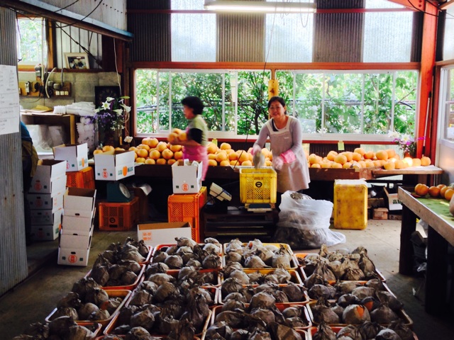 f:id:yujirosatake2014:20141027235159j:plain f:id:yujirosatake2014:20141027235159j:plain