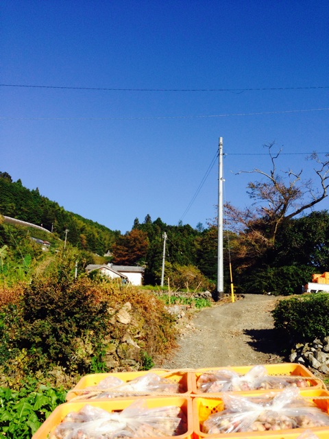 f:id:yujirosatake2014:20141029160954j:plain f:id:yujirosatake2014:20141029160954j:plain