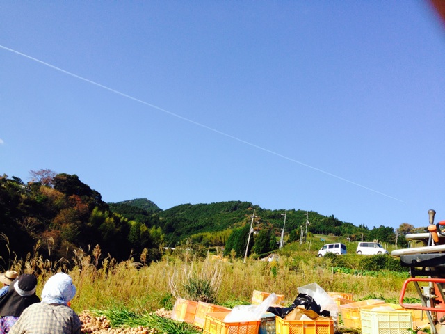 f:id:yujirosatake2014:20141031122303j:plain f:id:yujirosatake2014:20141031122303j:plain