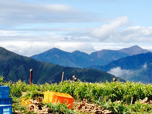 f:id:yujirosatake2014:20141109062208j:plain f:id:yujirosatake2014:20141109062208j:plain