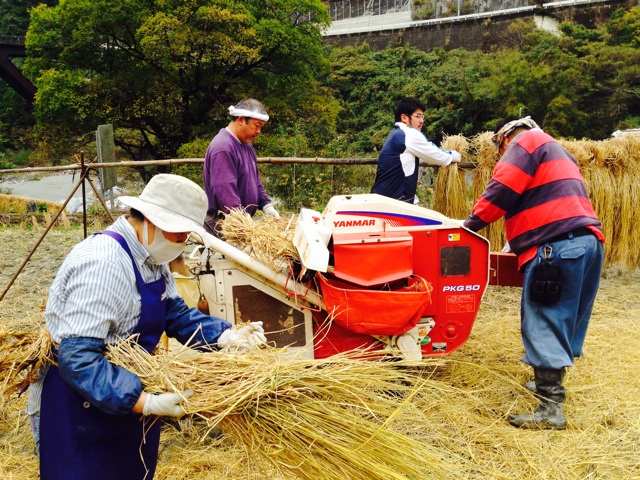 f:id:yujirosatake2014:20141109074311j:plain f:id:yujirosatake2014:20141109074311j:plain