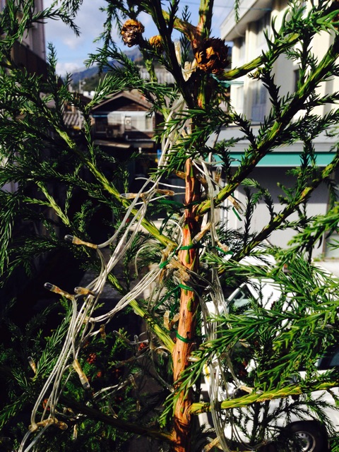 f:id:yujirosatake2014:20141204002937j:plain f:id:yujirosatake2014:20141204002937j:plain