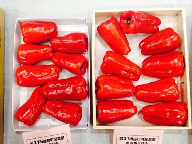 f:id:yujirosatake2014:20141204005327j:plain f:id:yujirosatake2014:20141204005327j:plain