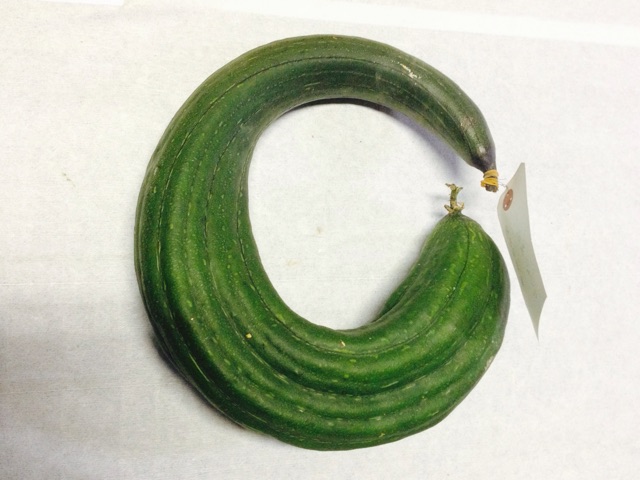 f:id:yujirosatake2014:20141204005703j:plain f:id:yujirosatake2014:20141204005703j:plain