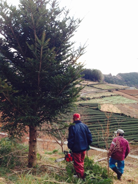 f:id:yujirosatake2014:20141220214650j:plain f:id:yujirosatake2014:20141220214650j:plain