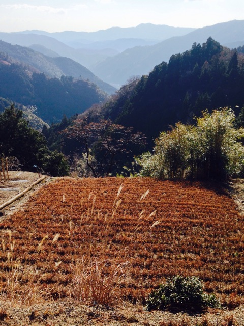 f:id:yujirosatake2014:20150107123814j:plain f:id:yujirosatake2014:20150107123814j:plain