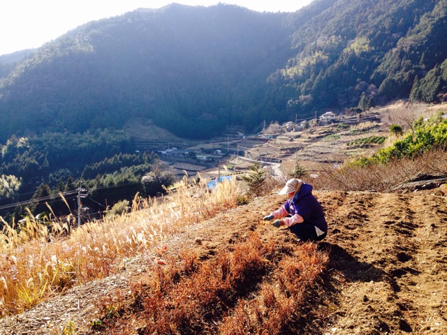 f:id:yujirosatake2014:20150108155532j:plain f:id:yujirosatake2014:20150108155532j:plain