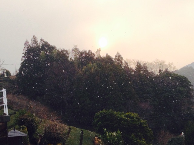 f:id:yujirosatake2014:20150111175206j:plain f:id:yujirosatake2014:20150111175206j:plain