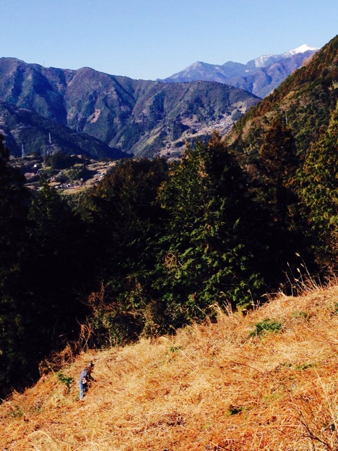 f:id:yujirosatake2014:20150114121424j:plain f:id:yujirosatake2014:20150114121424j:plain