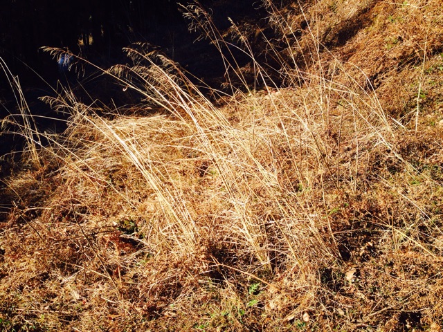 f:id:yujirosatake2014:20150114121715j:plain f:id:yujirosatake2014:20150114121715j:plain