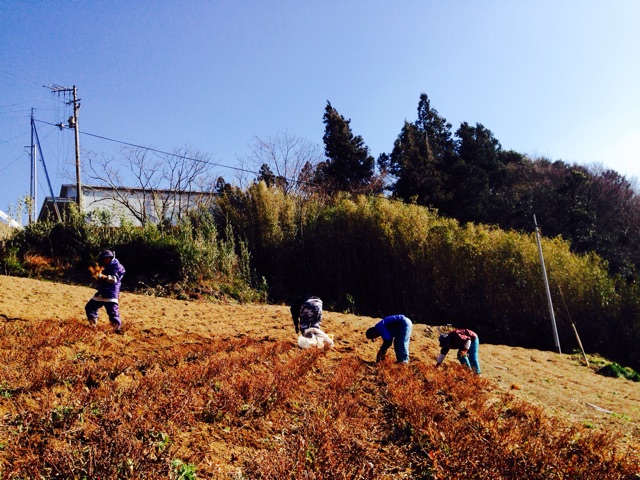f:id:yujirosatake2014:20150115010958j:plain f:id:yujirosatake2014:20150115010958j:plain