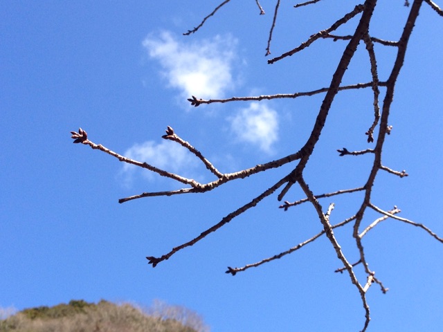 f:id:yujirosatake2014:20150208042249j:plain f:id:yujirosatake2014:20150208042249j:plain
