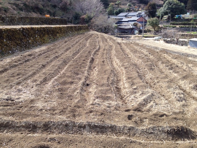 f:id:yujirosatake2014:20150217091733j:plain f:id:yujirosatake2014:20150217091733j:plain