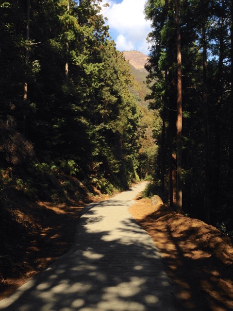 f:id:yujirosatake2014:20150310044539j:plain f:id:yujirosatake2014:20150310044539j:plain