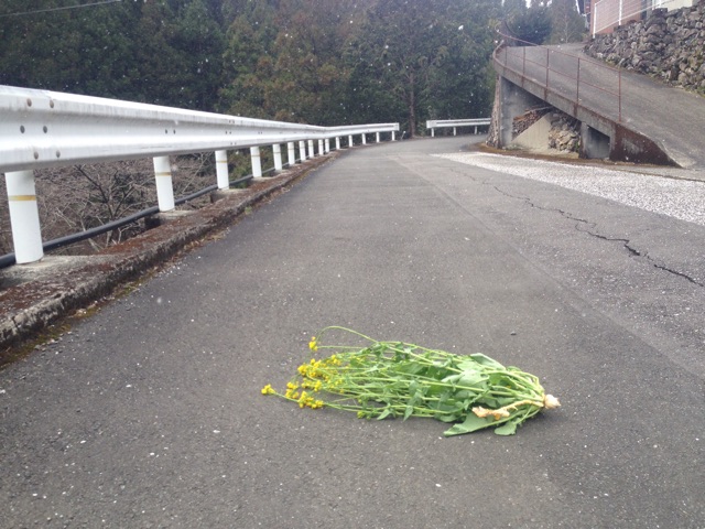f:id:yujirosatake2014:20150311040046j:plain f:id:yujirosatake2014:20150311040046j:plain