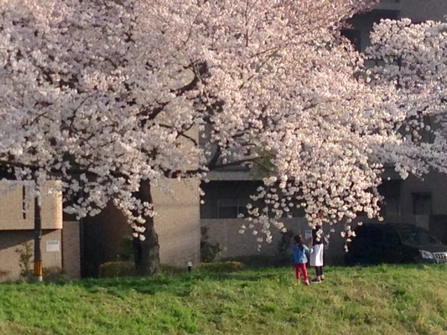 f:id:yujirosatake2014:20150331163408j:plain f:id:yujirosatake2014:20150331163408j:plain