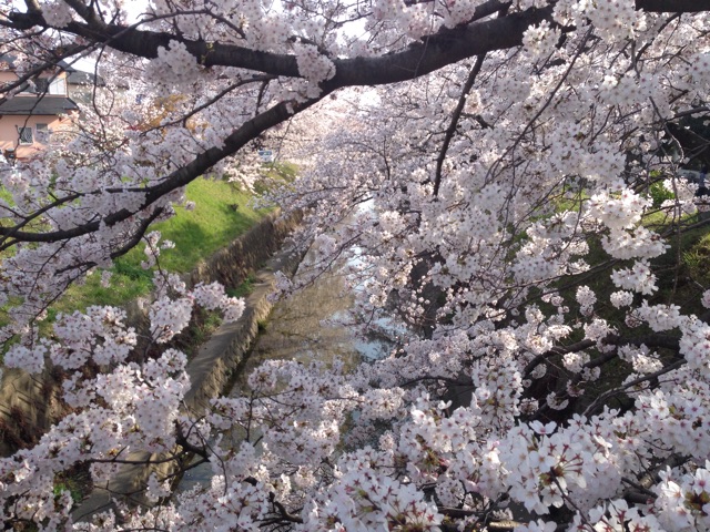 f:id:yujirosatake2014:20150331163447j:plain f:id:yujirosatake2014:20150331163447j:plain