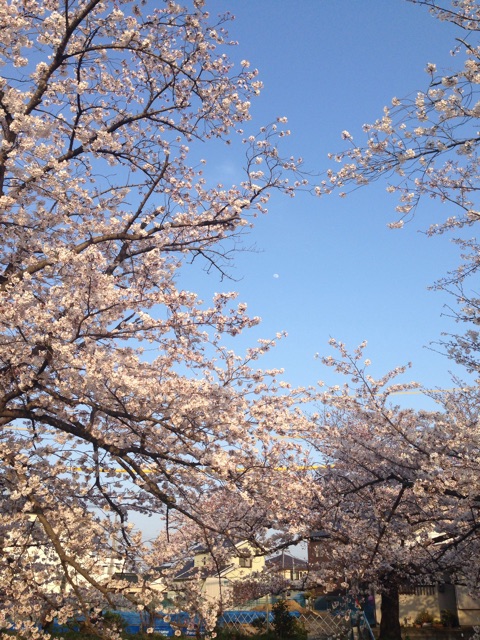 f:id:yujirosatake2014:20150402015231j:plain f:id:yujirosatake2014:20150402015231j:plain