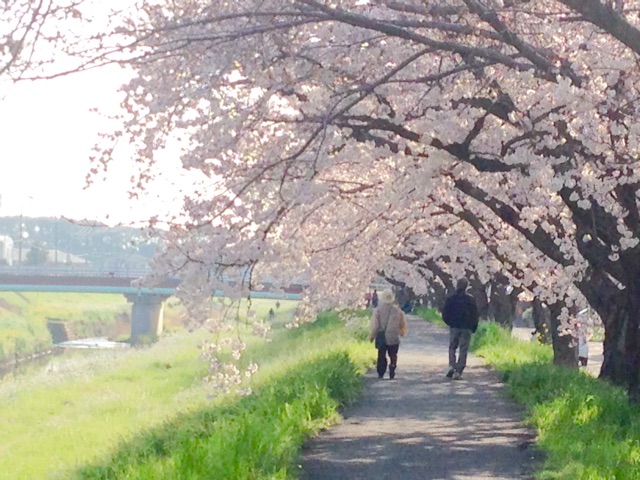 f:id:yujirosatake2014:20150402021745j:plain f:id:yujirosatake2014:20150402021745j:plain