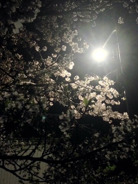 f:id:yujirosatake2014:20150410154101j:plain f:id:yujirosatake2014:20150410154101j:plain