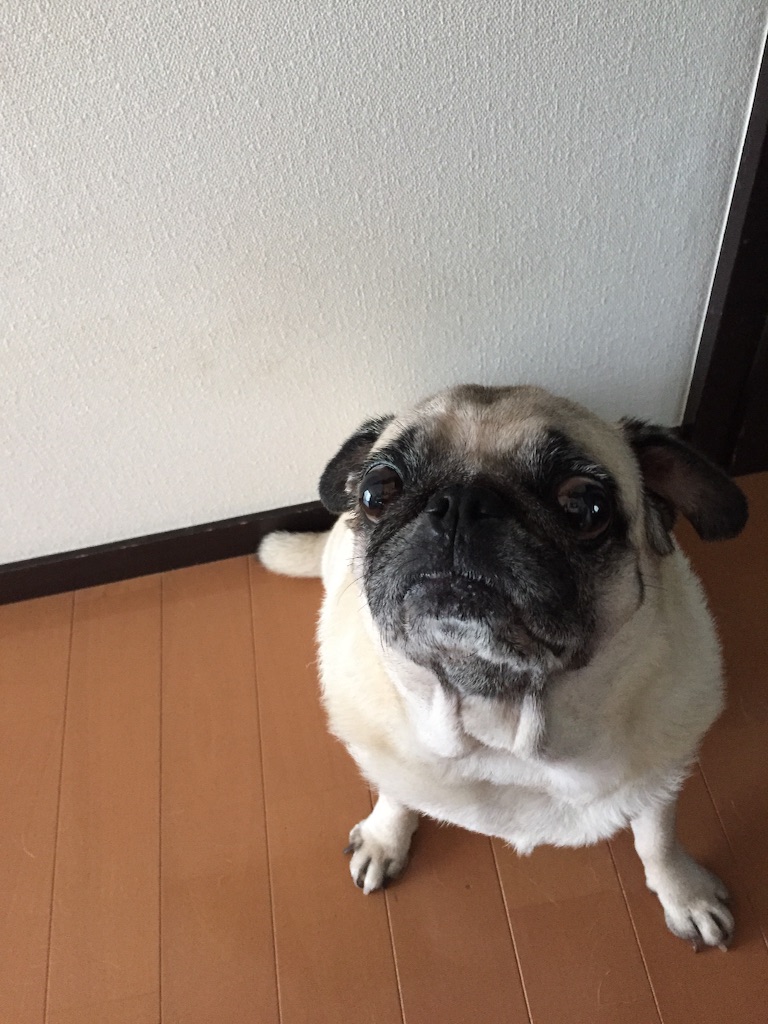 f:id:yuk23:20150831212627j:image f:id:yuk23:20150831212627j:image