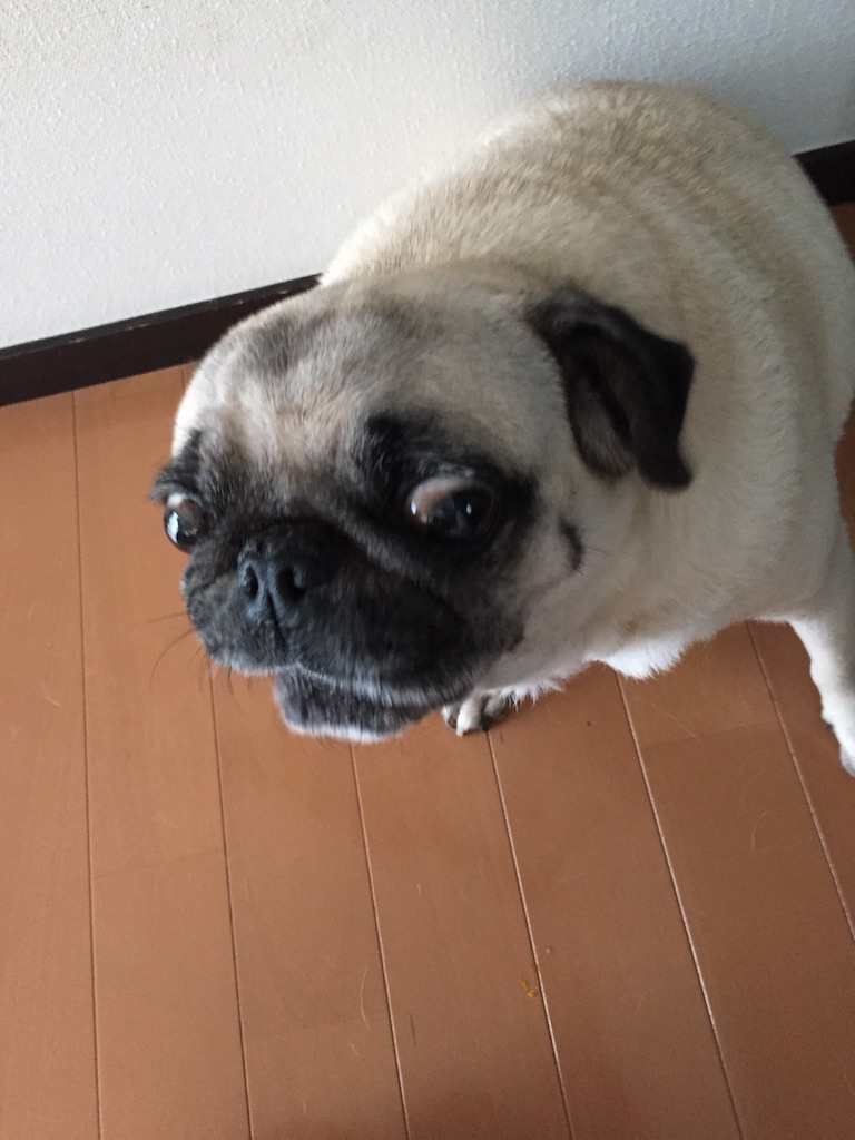 f:id:yuk23:20150831214133j:image f:id:yuk23:20150831214133j:image