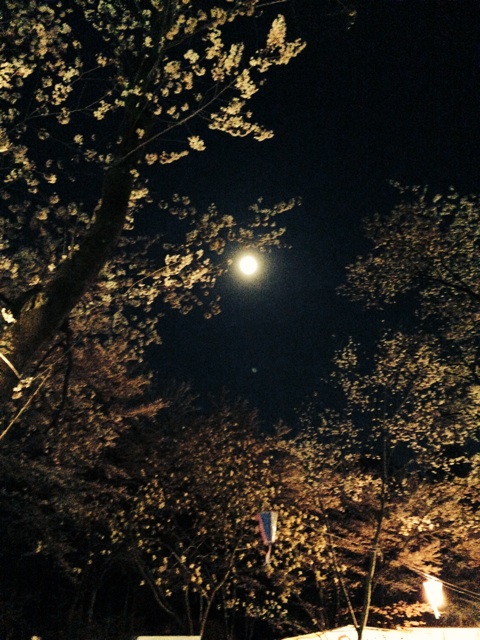 f:id:yuka300:20140414000245j:plain f:id:yuka300:20140414000245j:plain