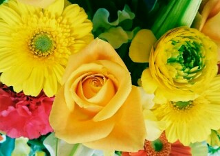 f:id:yukaaaaaaaaaa:20160314100222j:image f:id:yukaaaaaaaaaa:20160314100222j:image