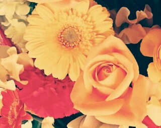 f:id:yukaaaaaaaaaa:20160408111515j:image f:id:yukaaaaaaaaaa:20160408111515j:image