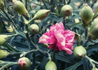 f:id:yukaaaaaaaaaa:20160518114442j:image f:id:yukaaaaaaaaaa:20160518114442j:image