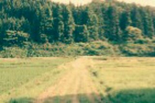 f:id:yukaaaaaaaaaa:20160605112925j:image f:id:yukaaaaaaaaaa:20160605112925j:image