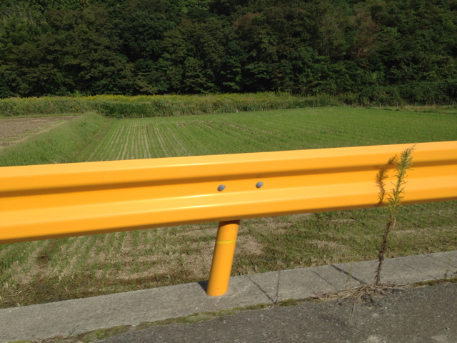 f:id:yukari35:20131008065127j:plain f:id:yukari35:20131008065127j:plain