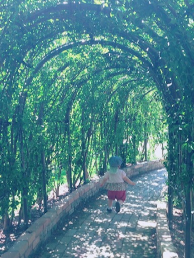 f:id:yukari_7hc9:20150902005901j:image f:id:yukari_7hc9:20150902005901j:image