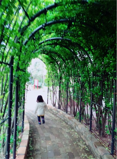 f:id:yukari_7hc9:20160502120631j:image f:id:yukari_7hc9:20160502120631j:image