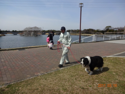 f:id:yuki0306:20170318101652j:image f:id:yuki0306:20170318101652j:image