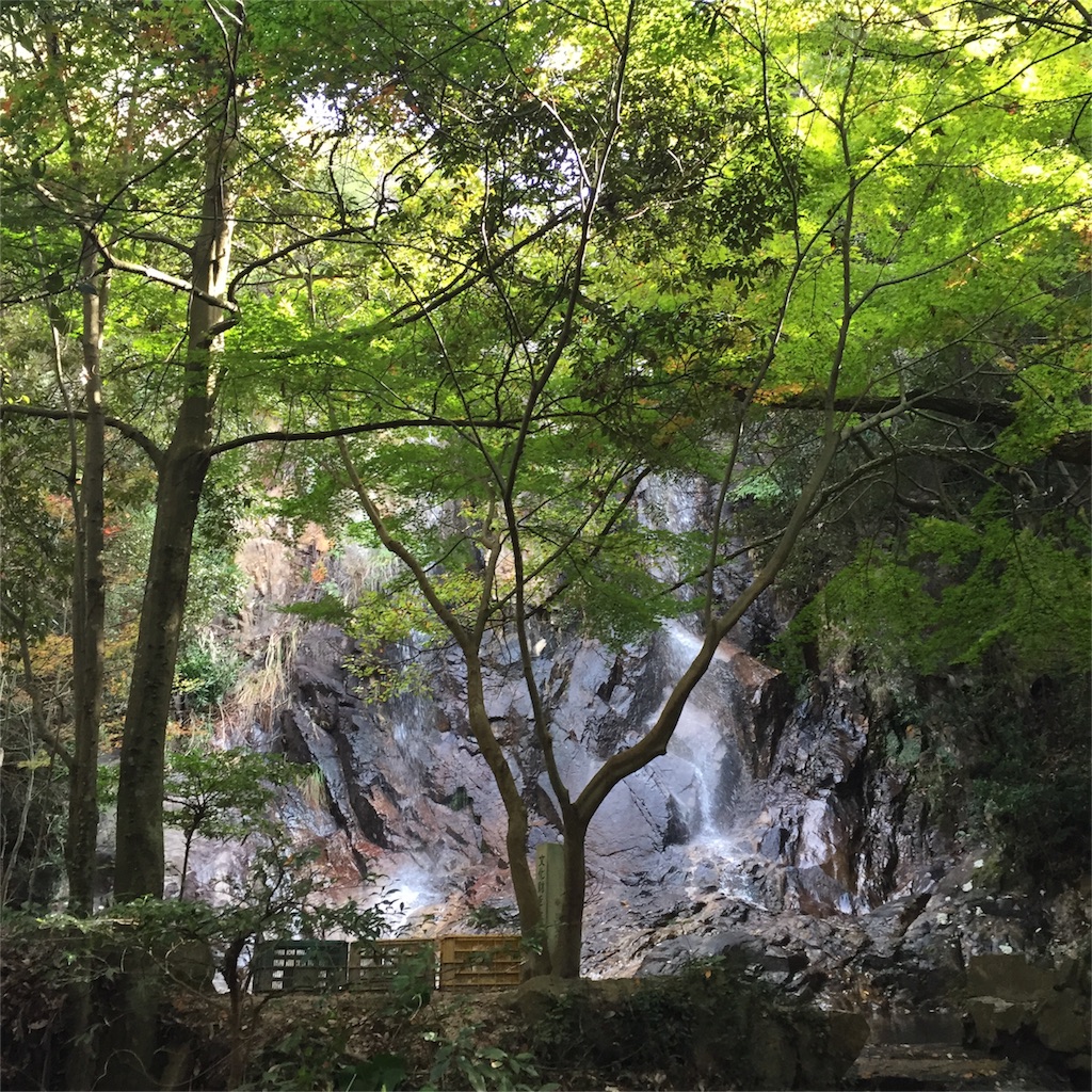 f:id:yuki1414:20151123130506j:image f:id:yuki1414:20151123130506j:image