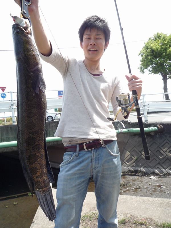 f:id:yukikawakubo0629:20110506135023j:image