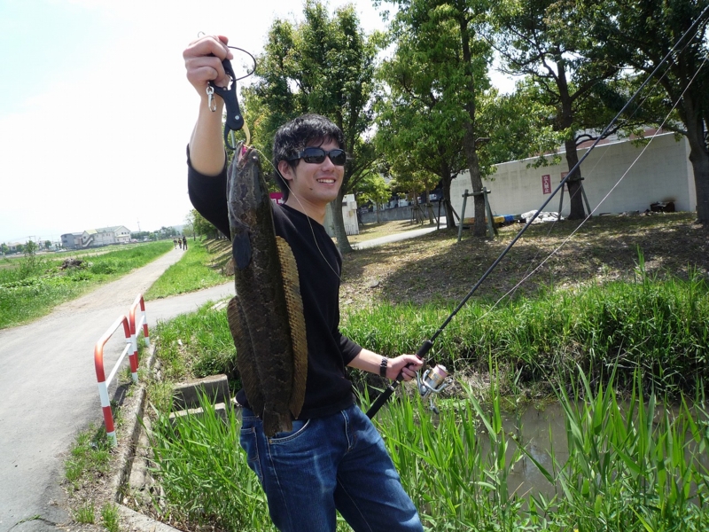 f:id:yukikawakubo0629:20110506135025j:image